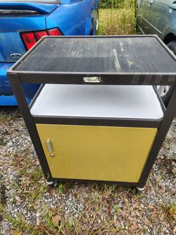 smaller metal cabinet on wheels - for garage/storage