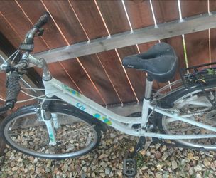 Bicycle works great