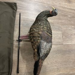 Avian X LCD Feeder Hen