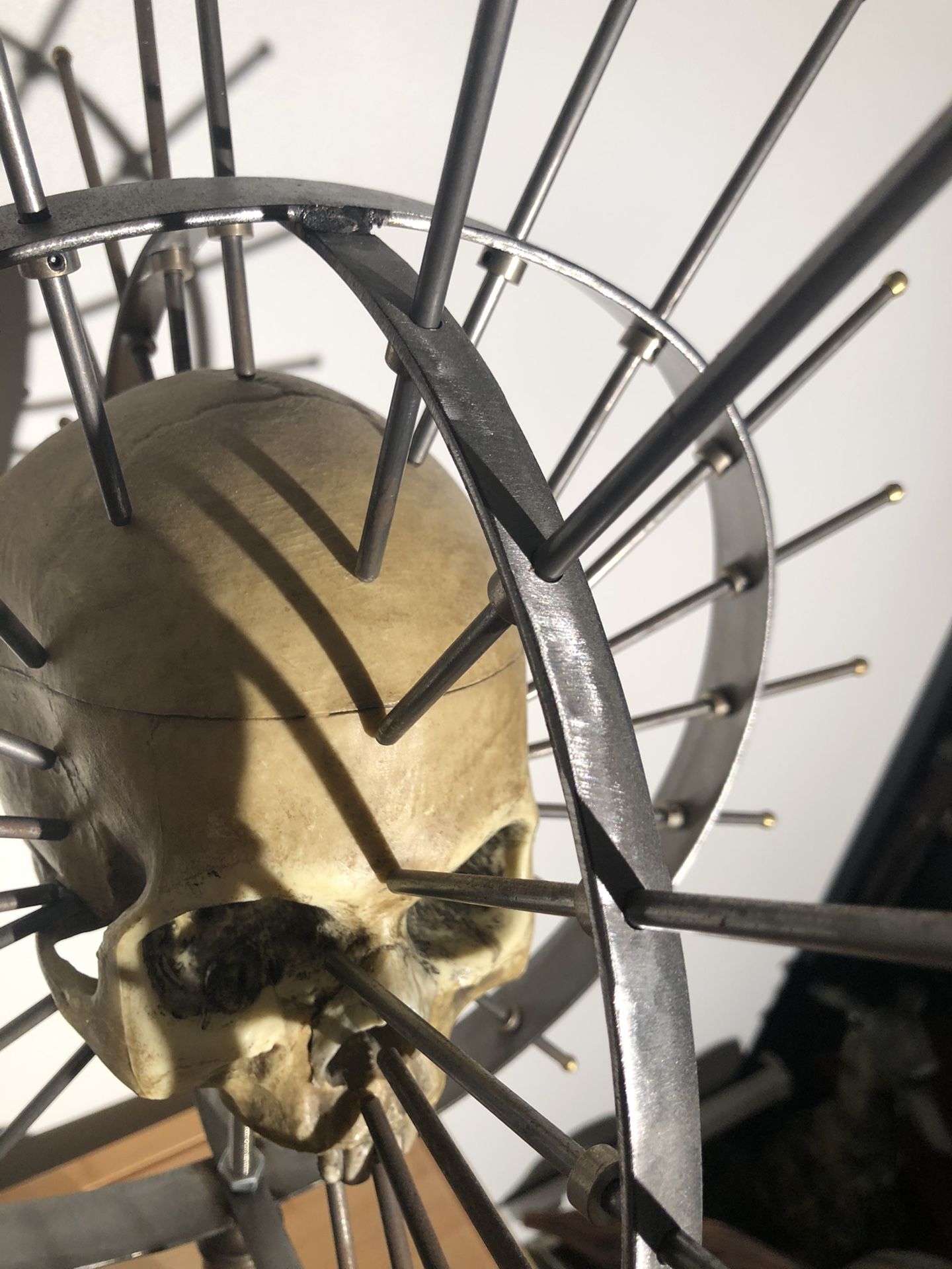 Antique Phrenology Rare Scientific Quack Medical Dental Human Skull Craniometer