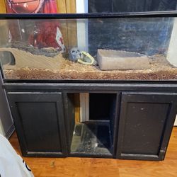 Aquarium