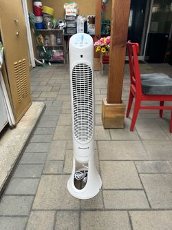 Fans