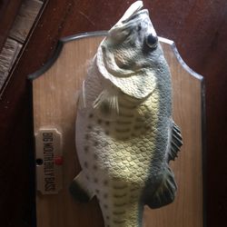 Big Mouth Billy Bass Animated Fish