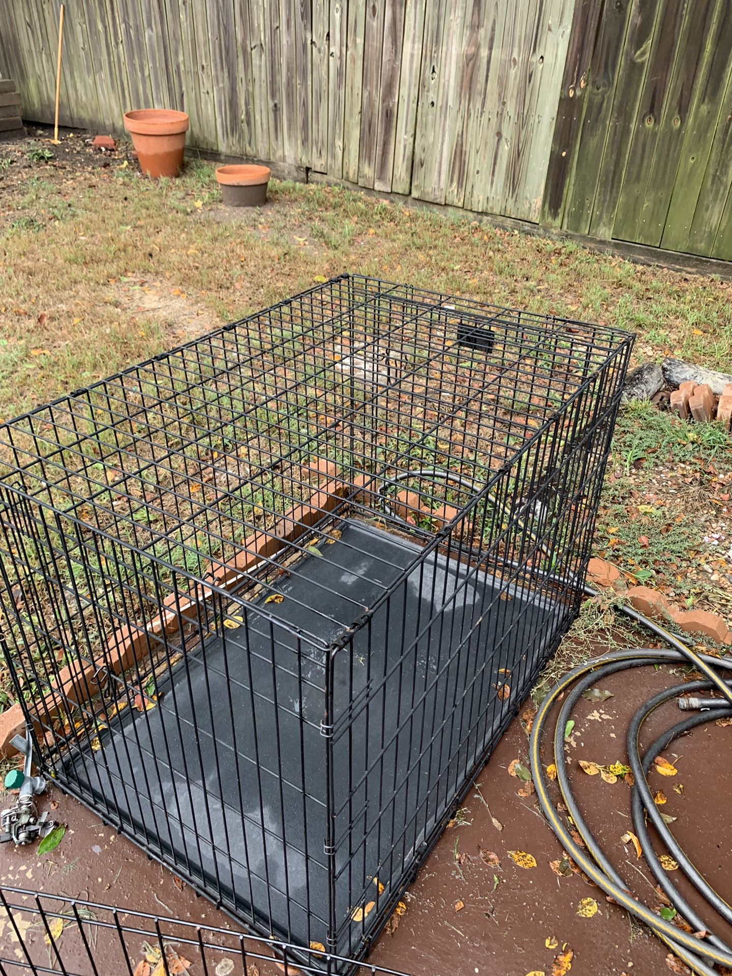 Big Dog Cage