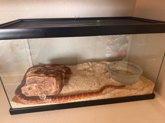 Snake