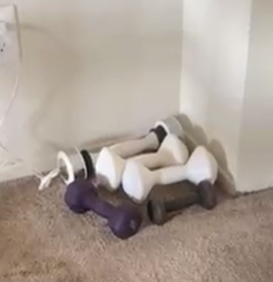 5 Dumbbells All For $10