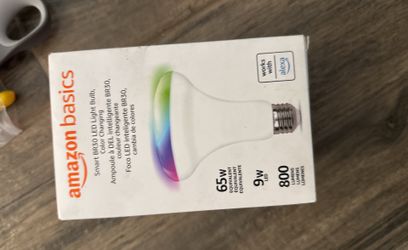 Smart Led Light Change Color Work W Alexa