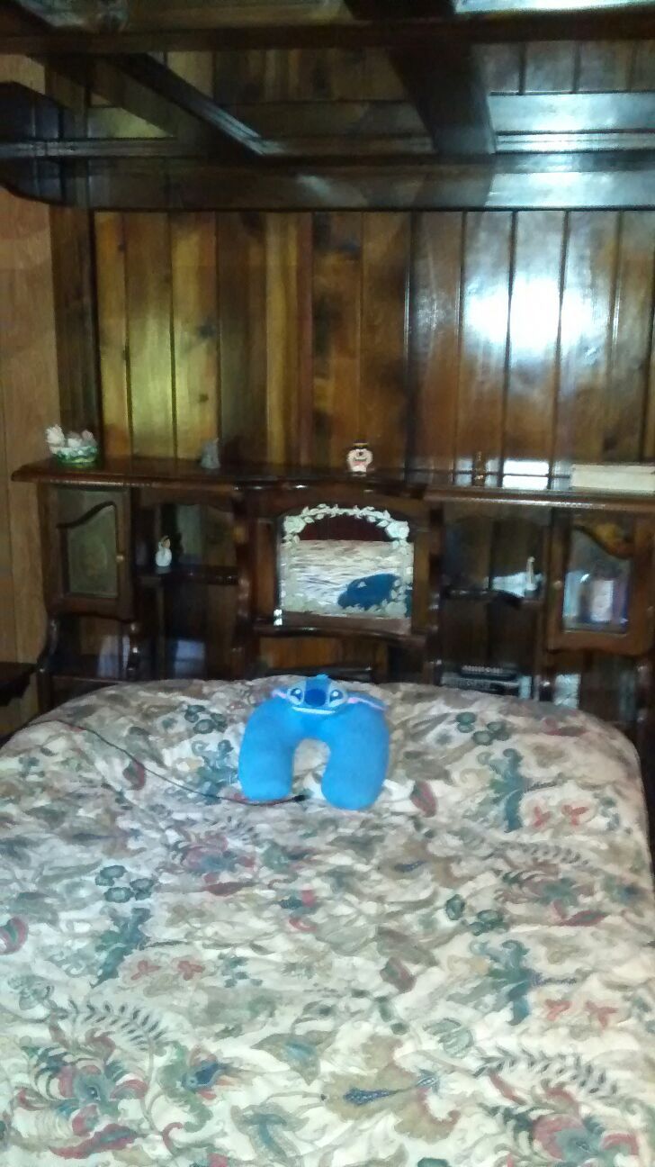 Canopy waterbed with mirrors and 4 drawers for Sale in Lisle, NY OfferUp