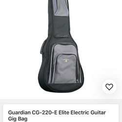 Guitar Electric Or acoustic Gig Bag