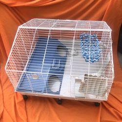 Guinea Pig  , Rabbit  Cage 