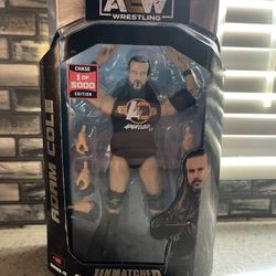 AEW Unmatched Chase Adam cole