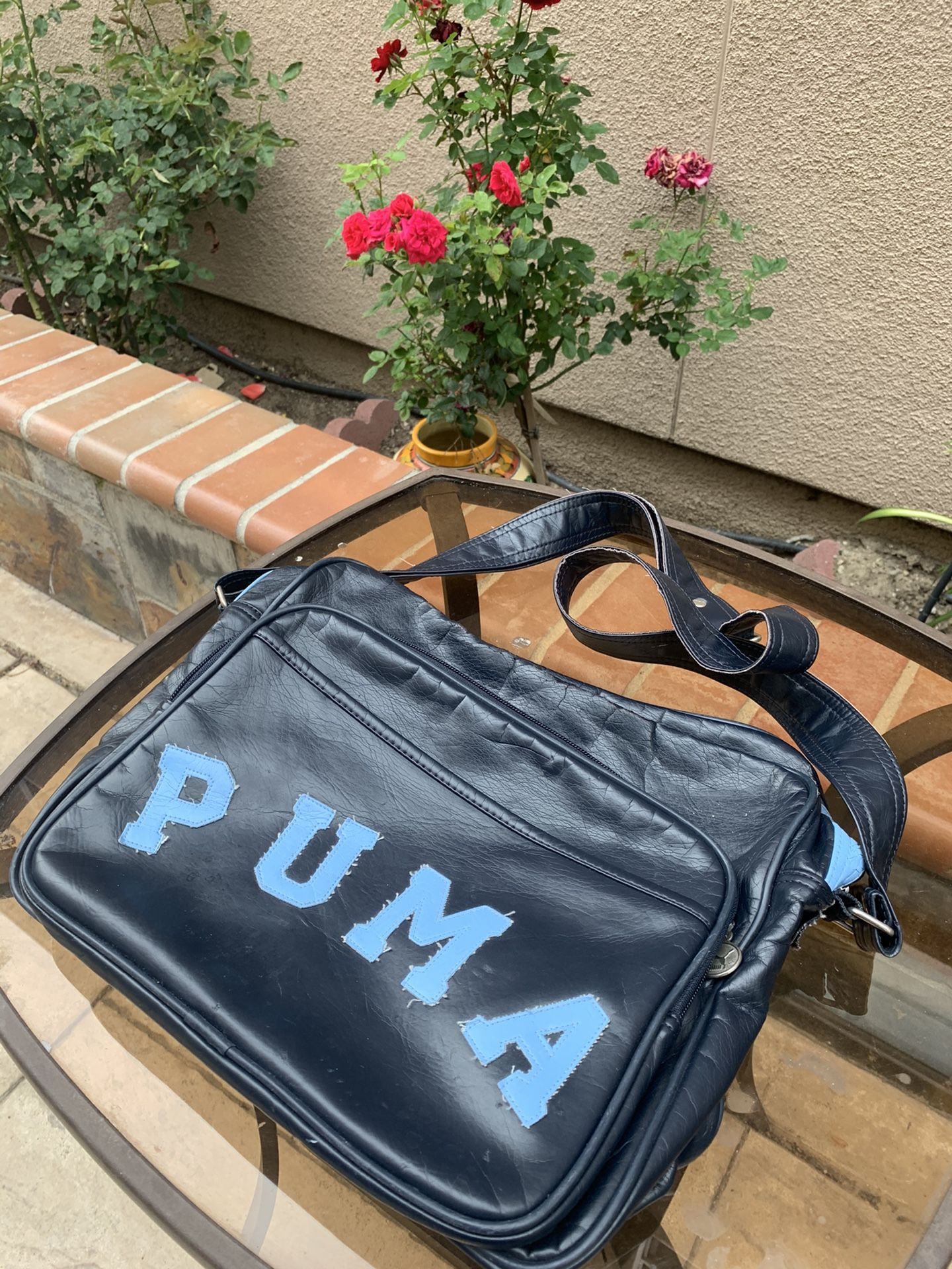 Puma carrying bag
