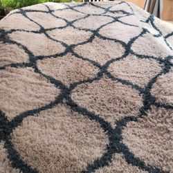 Indoor Rug 8 X10