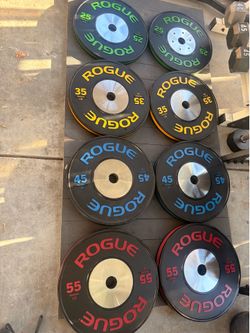 ROGUE LB TRAINING 2.0 PLATES SET