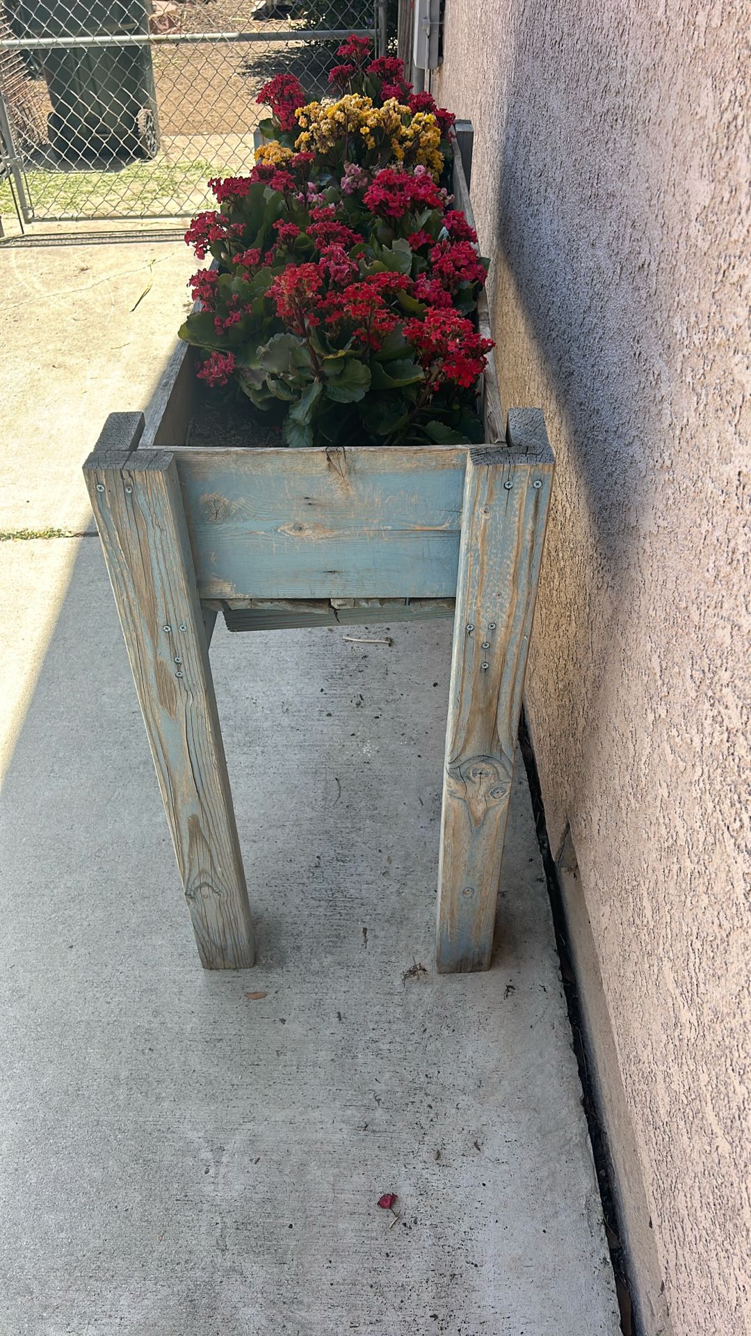 Box And Plants $25