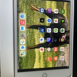 iPad Mini 64gb