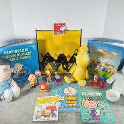 Peanuts Charlie Brown 