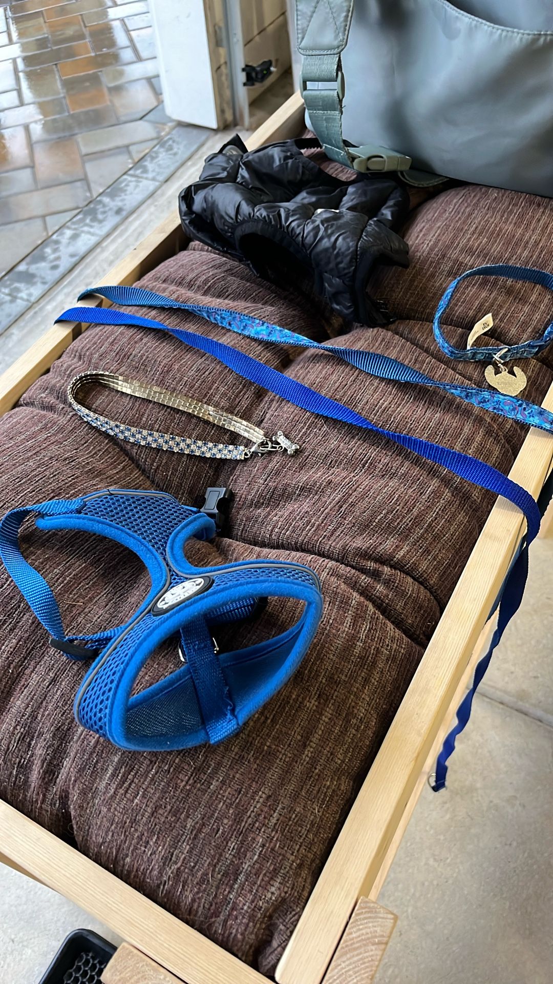 Puppy Supplies