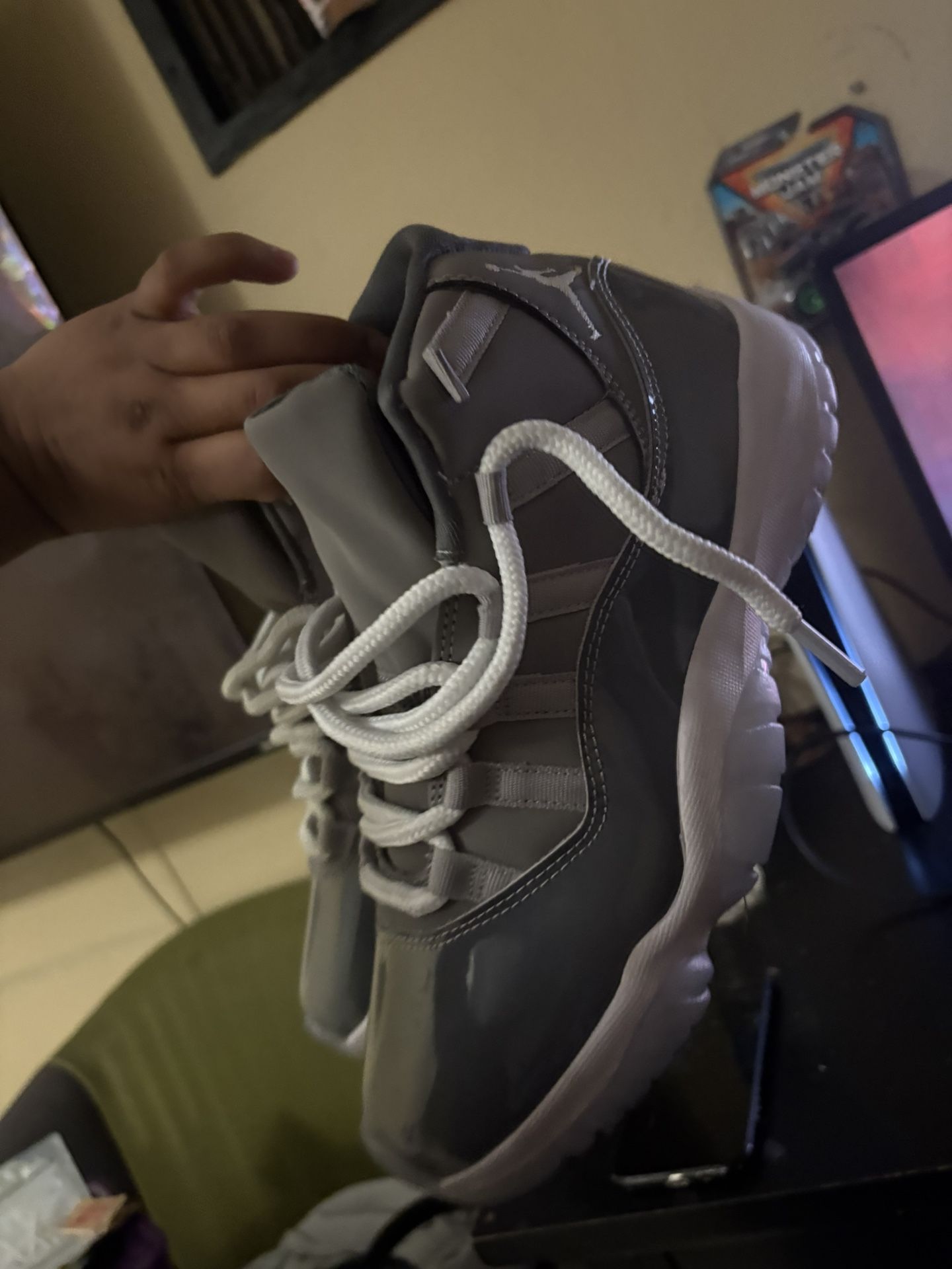 Jordan 11 Cool Greys