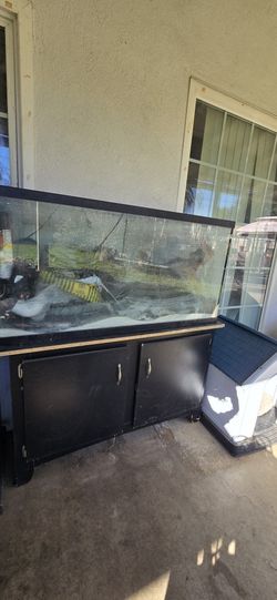 50 Gallon Fish Tank
