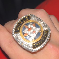 houston astros 2017 world champions