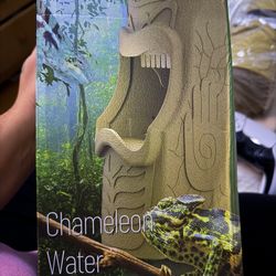 Chameleon Water Fountain 