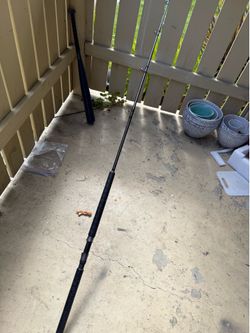Fishing Rod