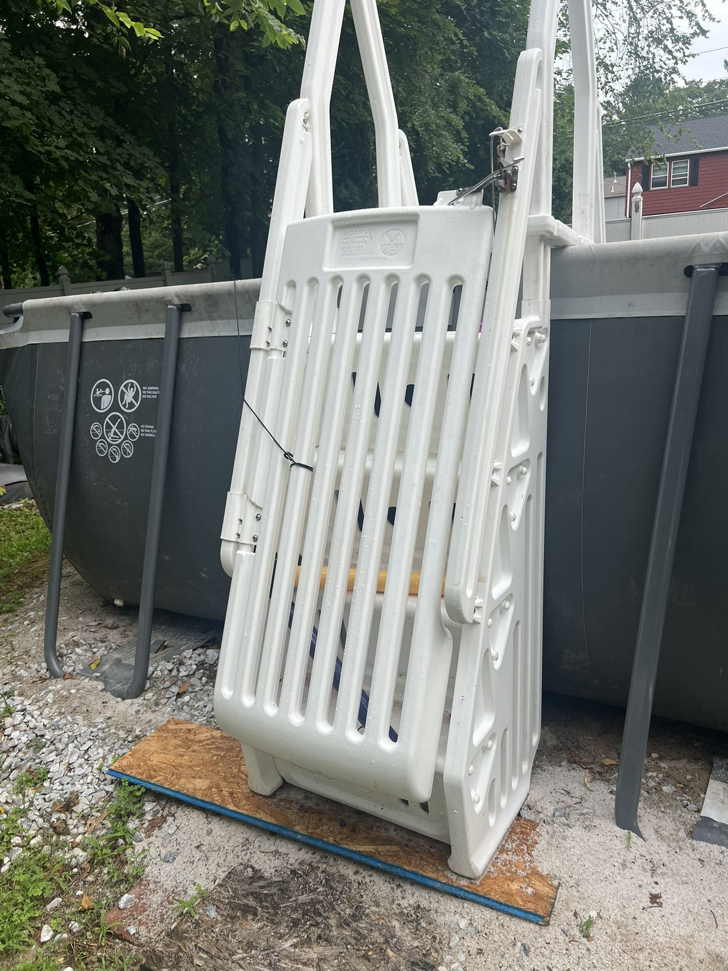 Swimming Pool Ladder 