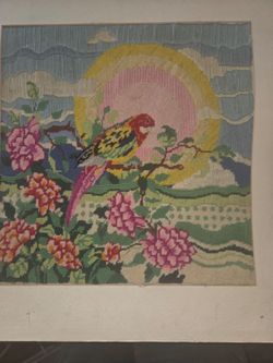 Vintage parrot needlepoint