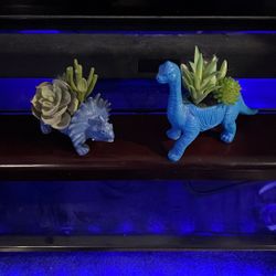 Dinosaur Decor With Plants