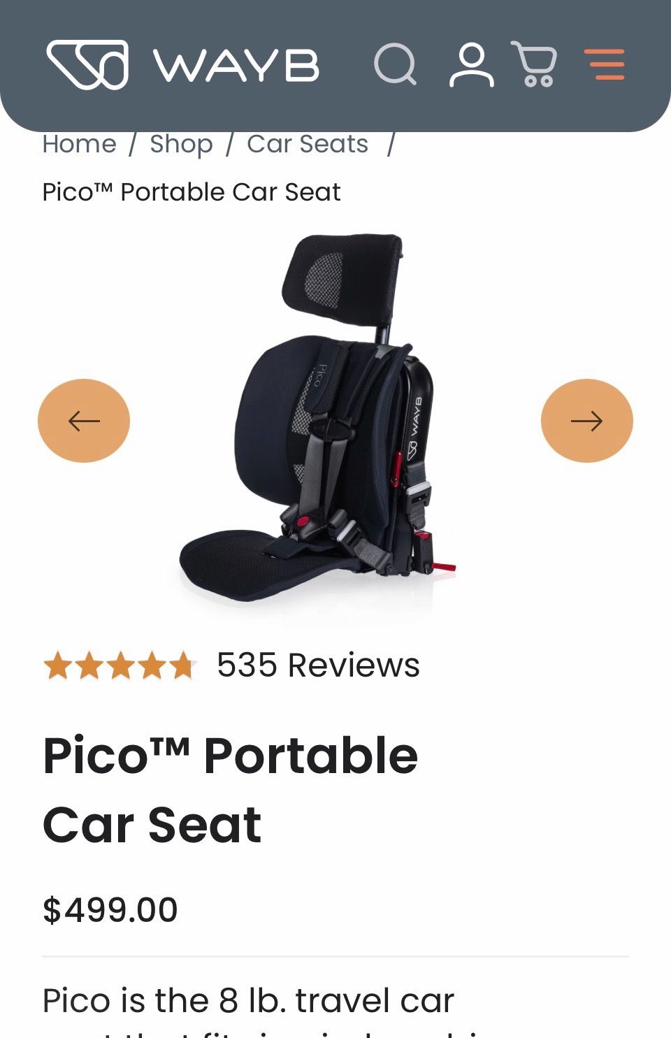 WAYB Pico portable car seat