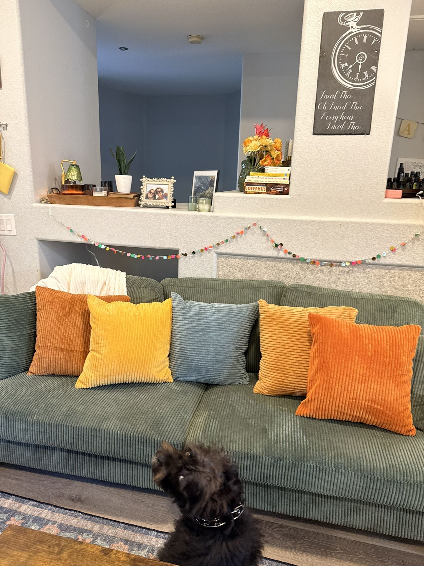 COUCH FOR SALE: The “It’s Fine I Guess” Collection