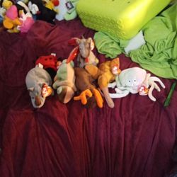 Beanie Babies 