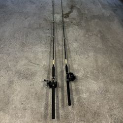 Two Fishing Rod/reel Combo
