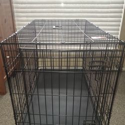 Dog Crate