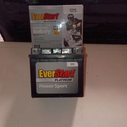 Motorcycle Battery EverStart Platinum AMG
