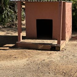 Dog House