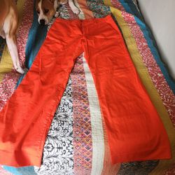 Gap Bright Orange Red Kakis
