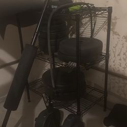 Bar/weights 