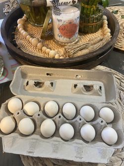 Belgium D’uccle Millie Fleur Hatching Eggs🐣