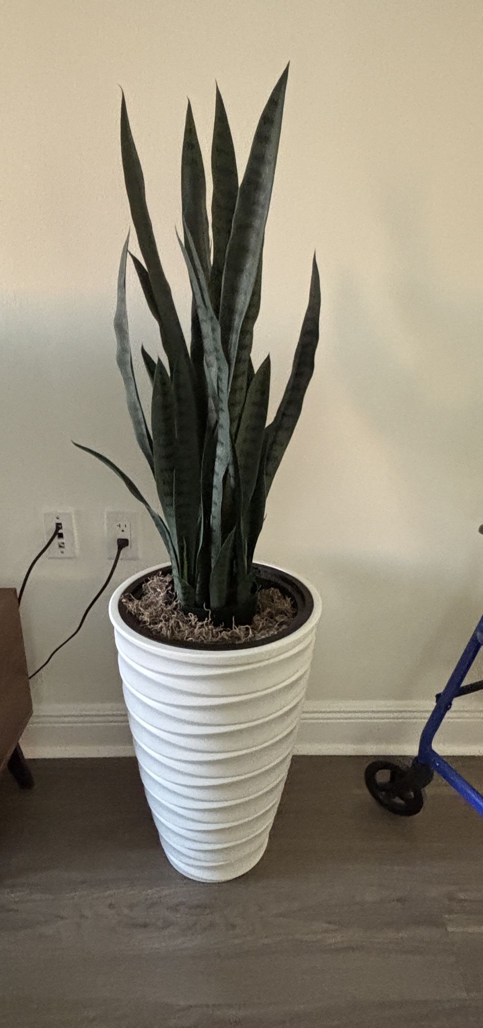 Snake Plant In  Vase-artificial 