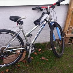 Schwinn Mountain Bike