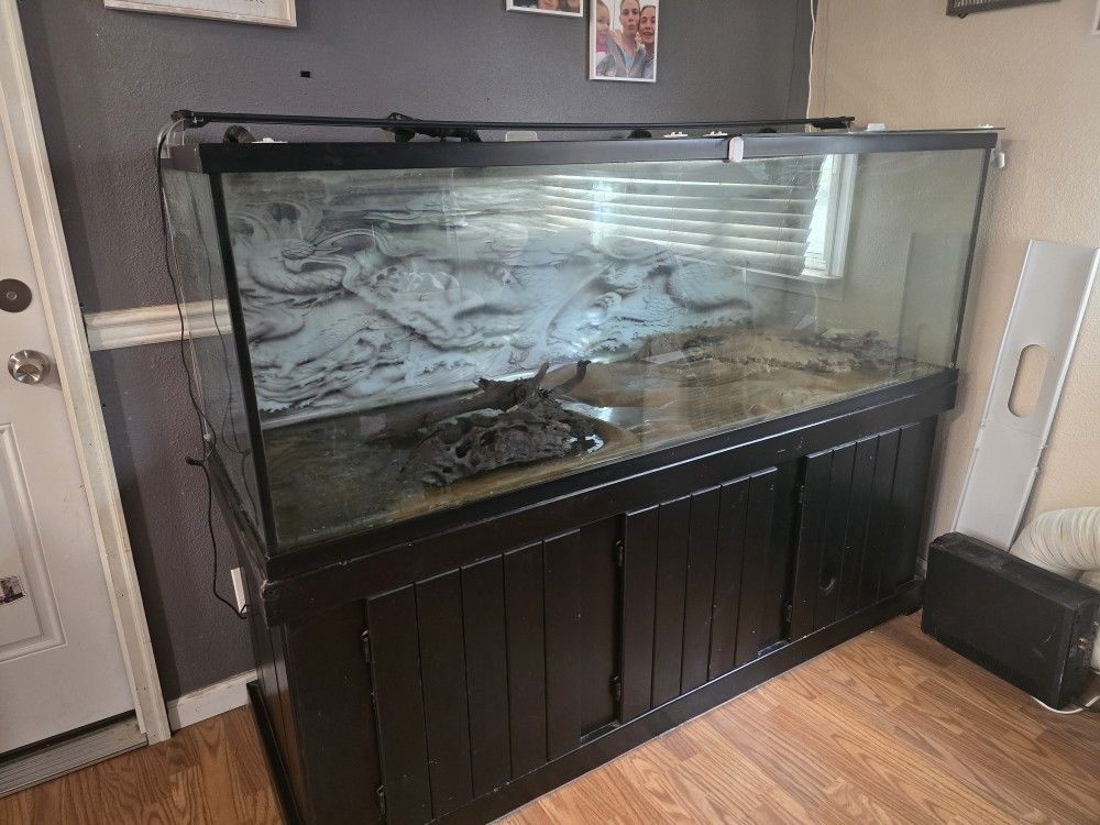 180 Gallon Fish Tank Setup – Ready to Go!