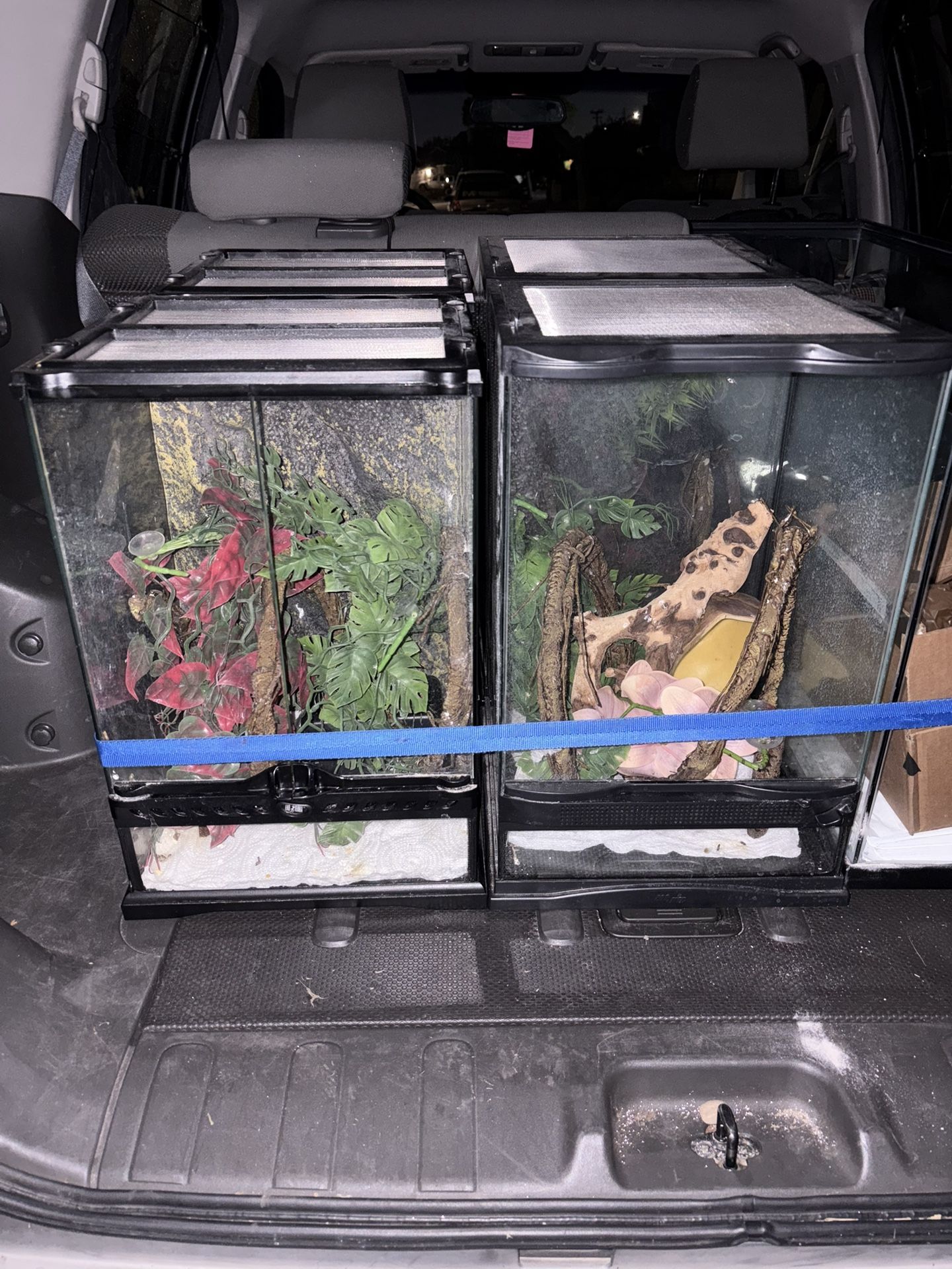 Zoo Med Tanks