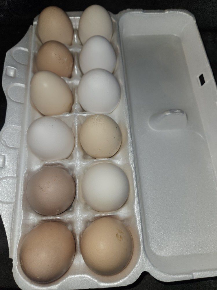 Farm Fresh Eggs $4.00 Dozen