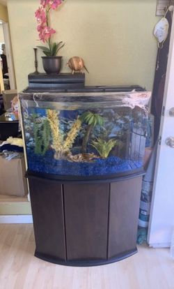 Fish Tank 30 gallons $325