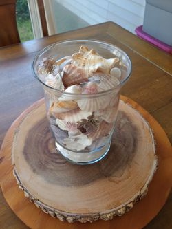 Glass Container Full Of Sea Shells 