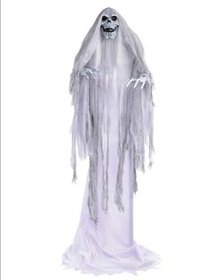 Halloween decorations $200