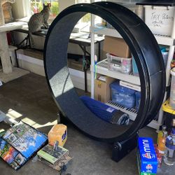 Cat Exercise Wheel- New 