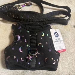 Kitten harness & leash 